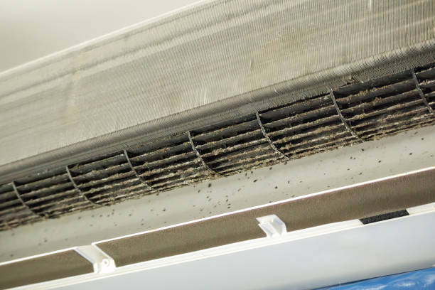 Best Emergency Air Duct Cleaning  in Derby, CT